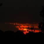 Anna Bashor Profile Picture