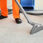 Augusta Welke Profile Picture