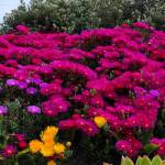 Sun Nasy Profile Picture