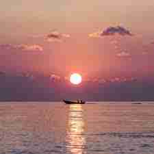 dawdsaf dawd Profile Picture