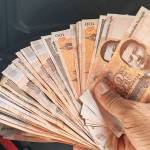 sed sed Profile Picture