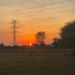 lita sok Profile Picture