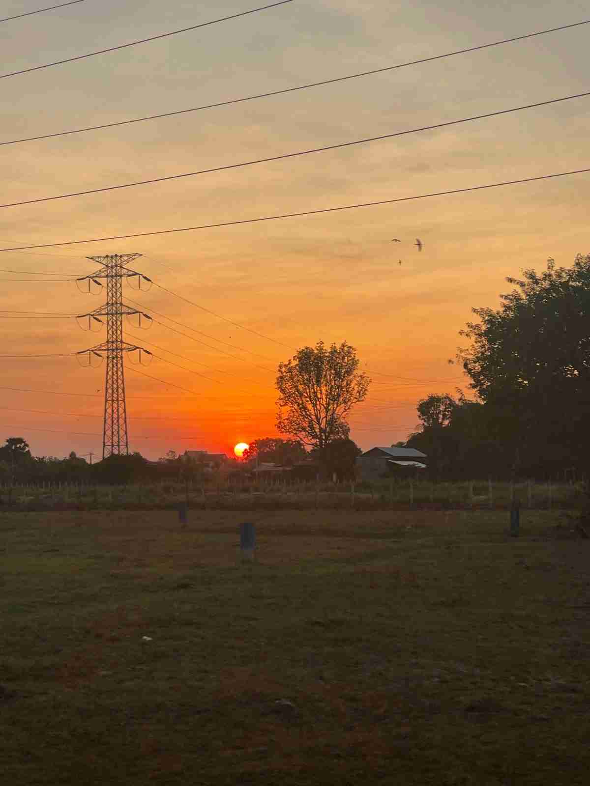 lita sok Profile Picture