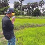 sal sal Profile Picture