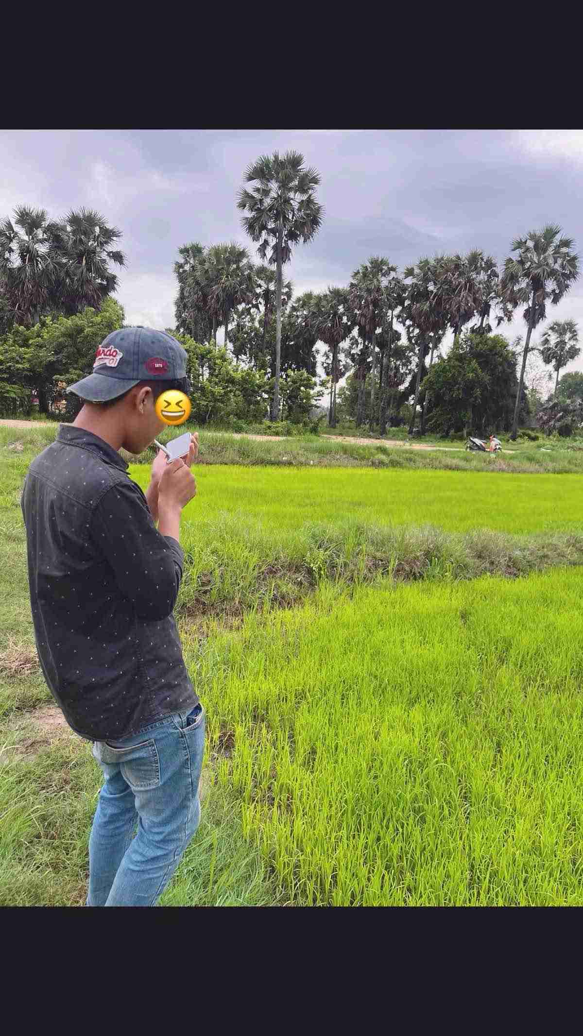 sal sal Profile Picture