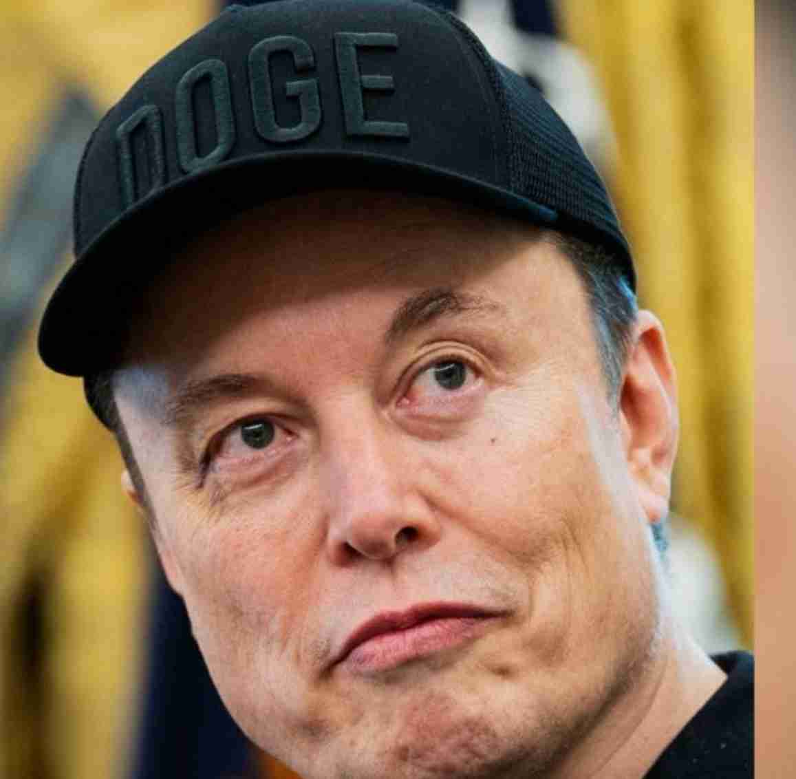 Elon Musk Profile Picture