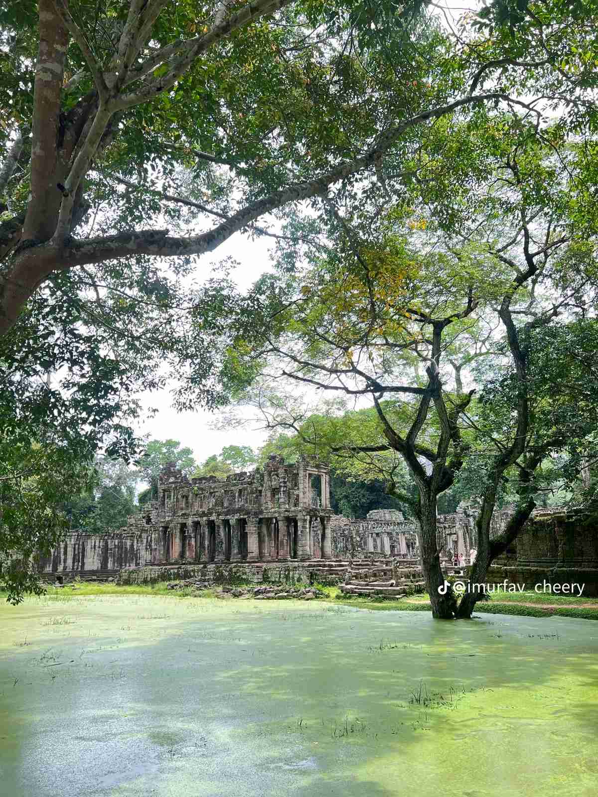 tey tey niki Profile Picture