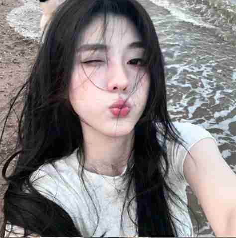 Beijing pawtechpet Profile Picture