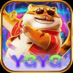 ygyg ygyg Profile Picture
