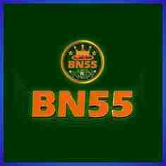 bn55 bn55 Profile Picture