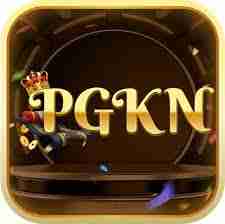 pgkn pgkn Profile Picture