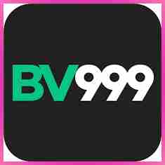 bv999 bv999 Profile Picture