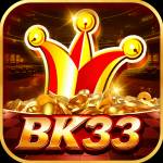bk33 bk33 Profile Picture