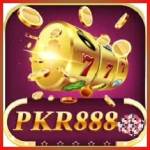 pkr888 pkr888 Profile Picture