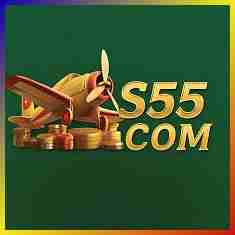s55 s55 Profile Picture