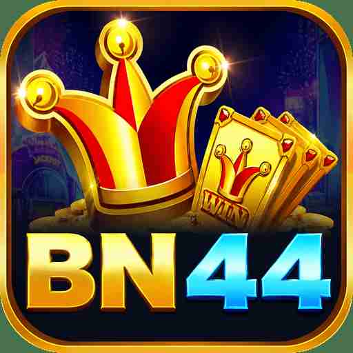 bn4 bn4 Profile Picture