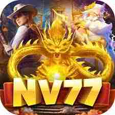nv77 nv77 Profile Picture