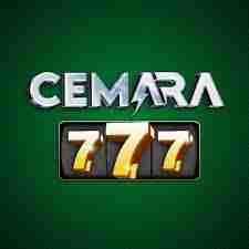 cemara777 cemara777 Profile Picture