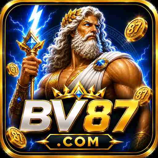bv87 bv87 Profile Picture