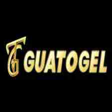 guatogel guatogel Profile Picture