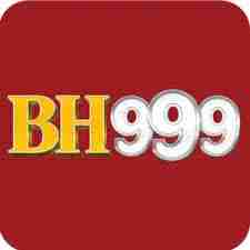 bh999 bh999 Profile Picture