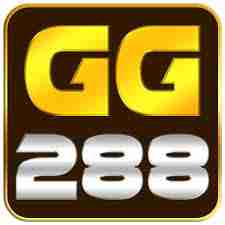 gg288 gg288 Profile Picture