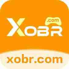 xobr xobr Profile Picture