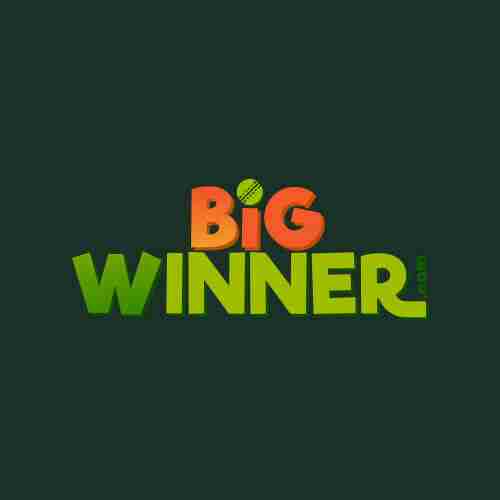bigwinner bigwinner Profile Picture