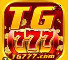 tg777 tg777 Profile Picture