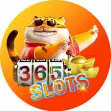 365slots 365slots Profile Picture
