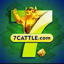 7cattle 7cattle Profile Picture