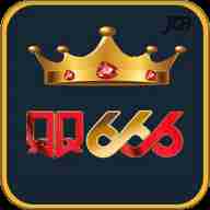 qq666 qq666 Profile Picture