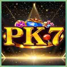 pk7 pk7 Profile Picture