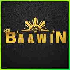 baawin baawin Profile Picture