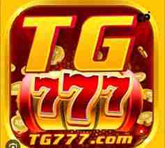 tg777 tg777 Profile Picture