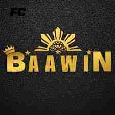 baawin baawin Profile Picture