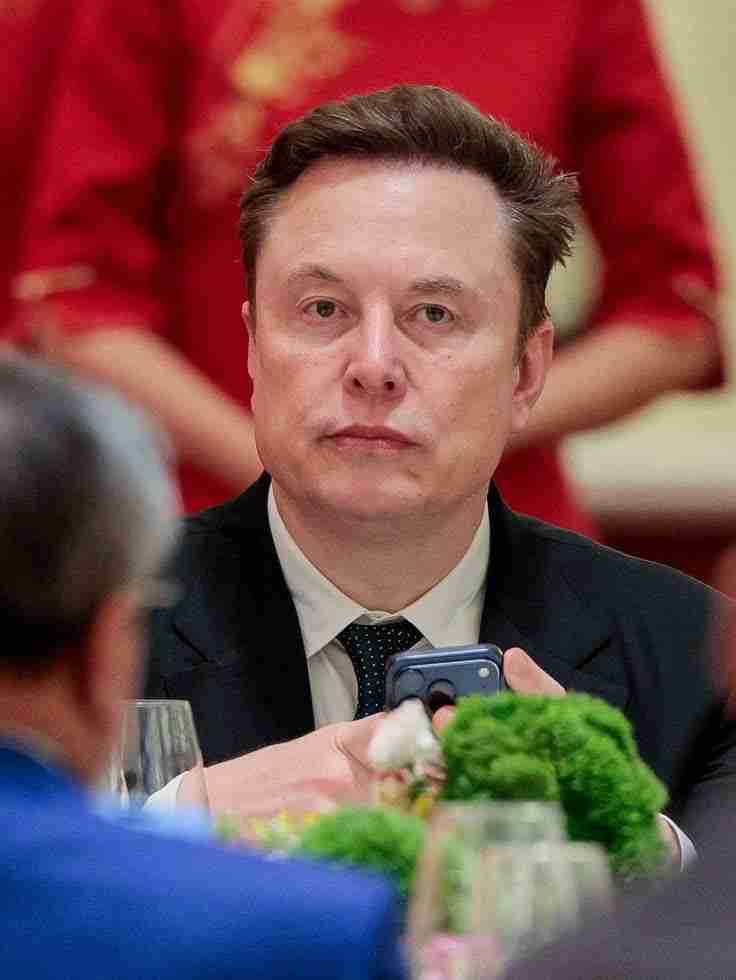 Elon must Profile Picture