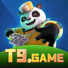 t9game t9game Profile Picture