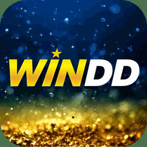 windd windd Profile Picture